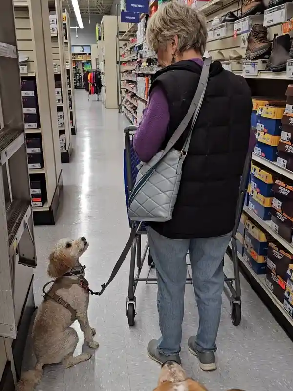 Elaine with her dog Charlie - Urban Ruffneck K9 client