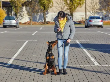 Lifelong training and Ruffneck Rover