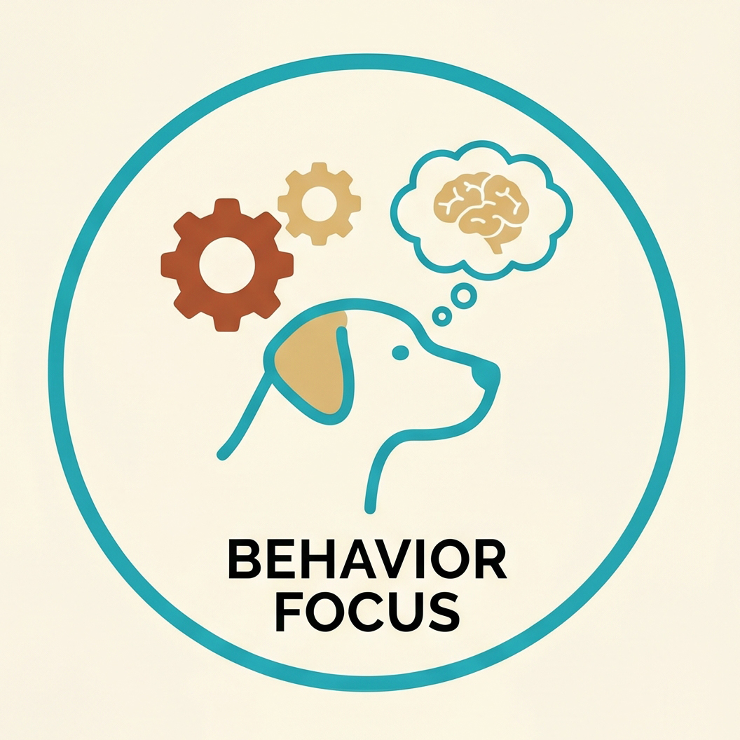 behavior focus icon
