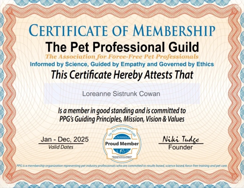 Pet Professional guild certification