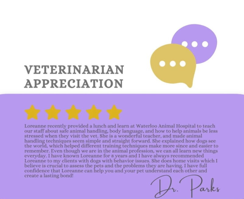 Vet testimonial for Loreanne